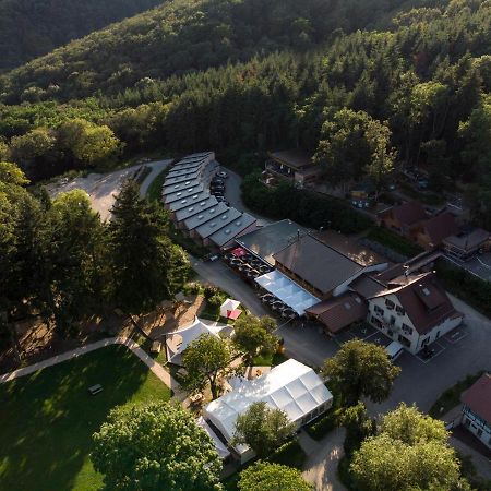 Domaine Du Hirtz, Restaurant & Spa Wattwiller Dış mekan fotoğraf