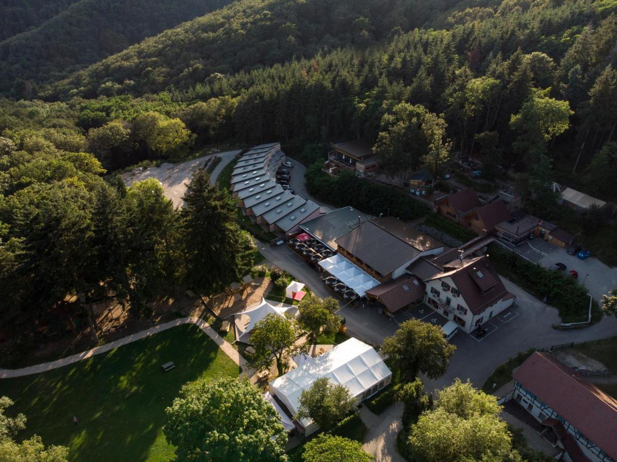 Domaine Du Hirtz, Restaurant & Spa Wattwiller Dış mekan fotoğraf