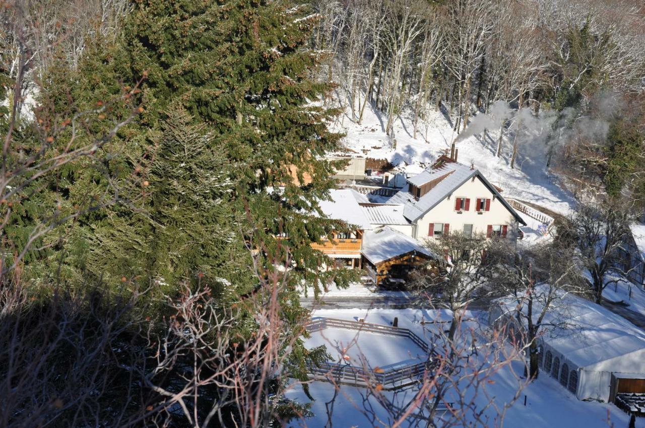 Domaine Du Hirtz, Restaurant & Spa Wattwiller Dış mekan fotoğraf